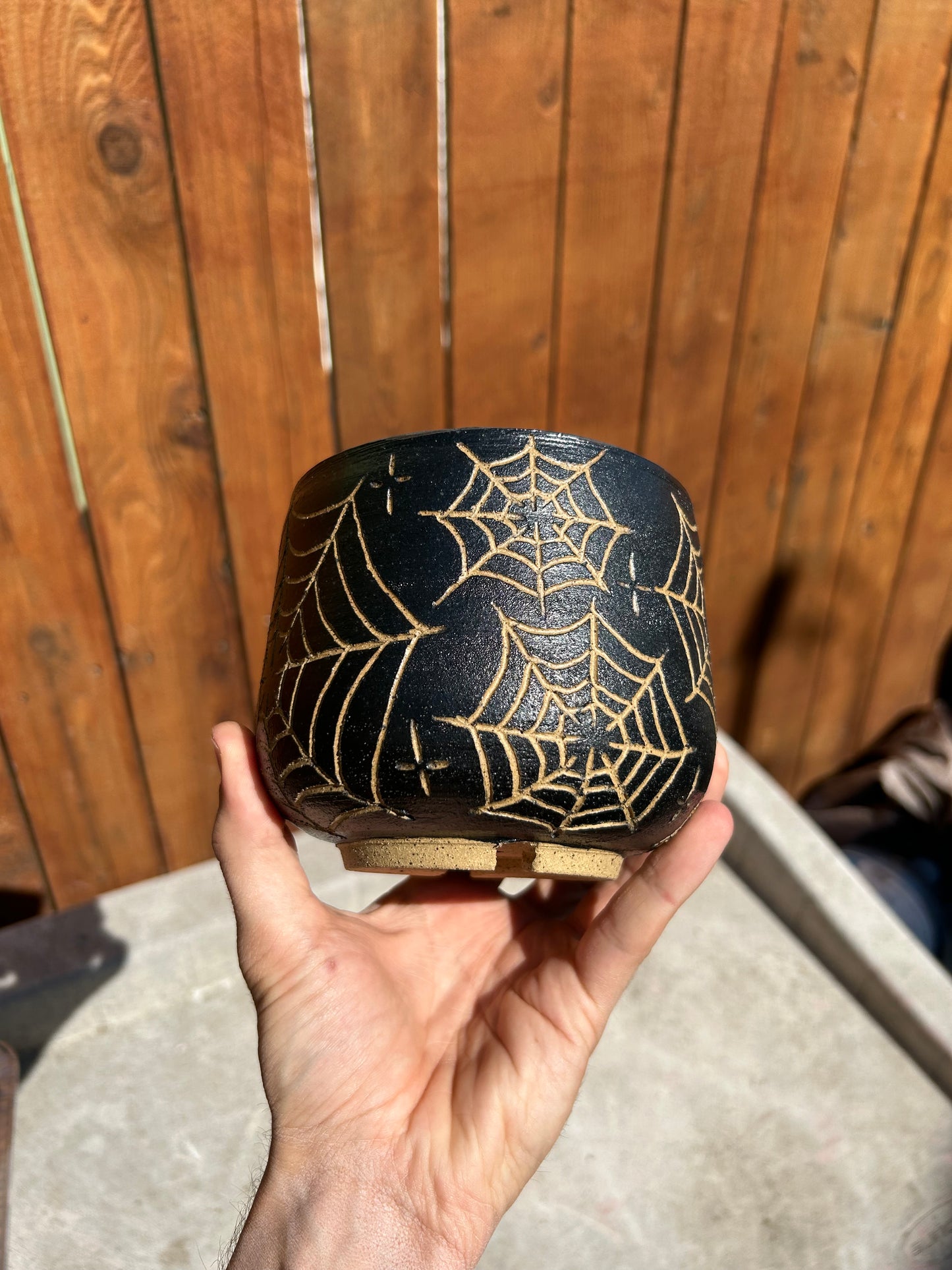 Spiderweb Planter