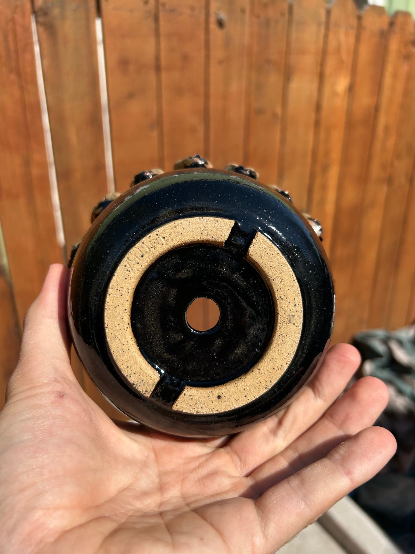 Obsidian Skull Planter