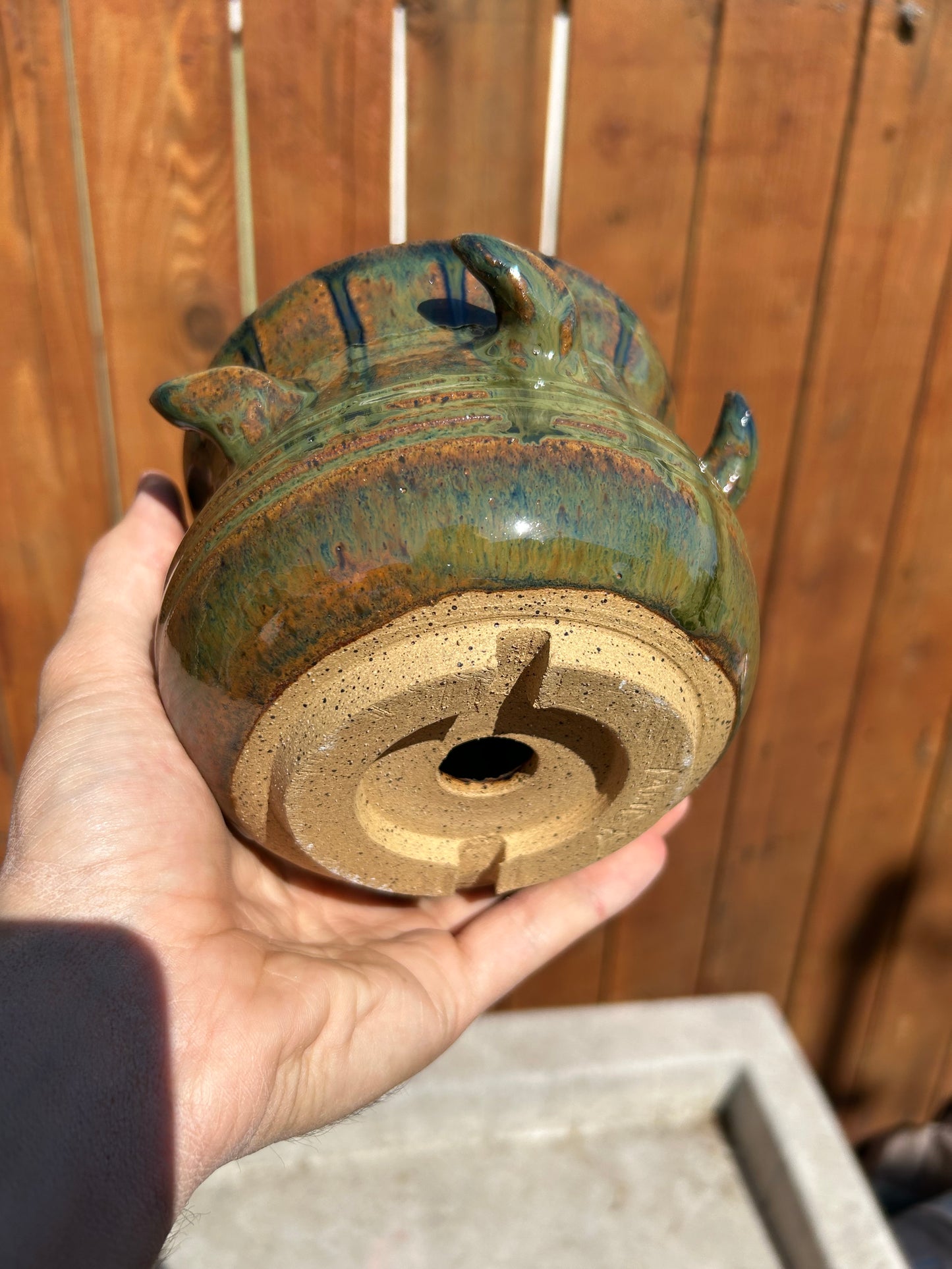 Twisted Thorn Planter