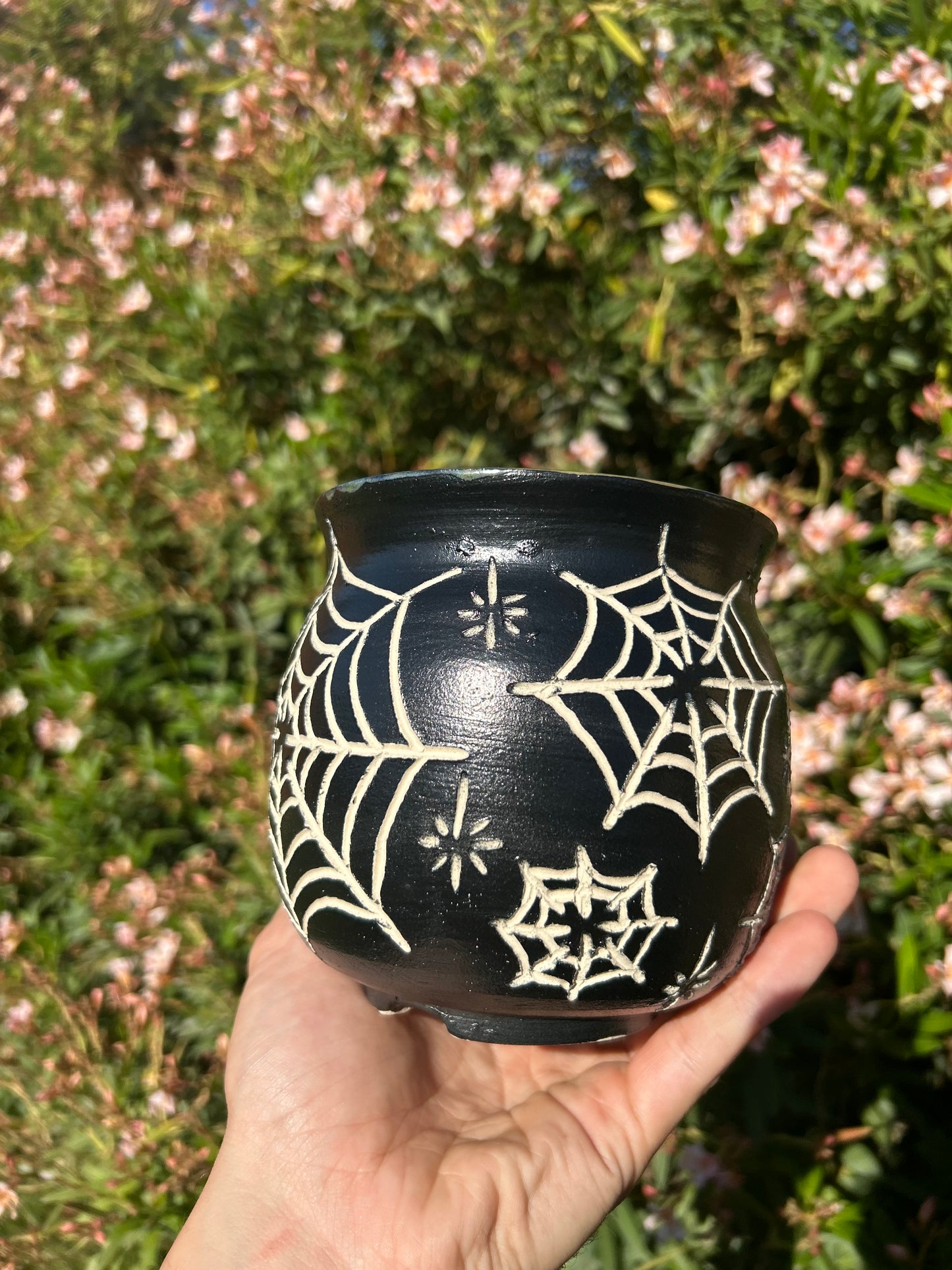 Spiderweb Planter