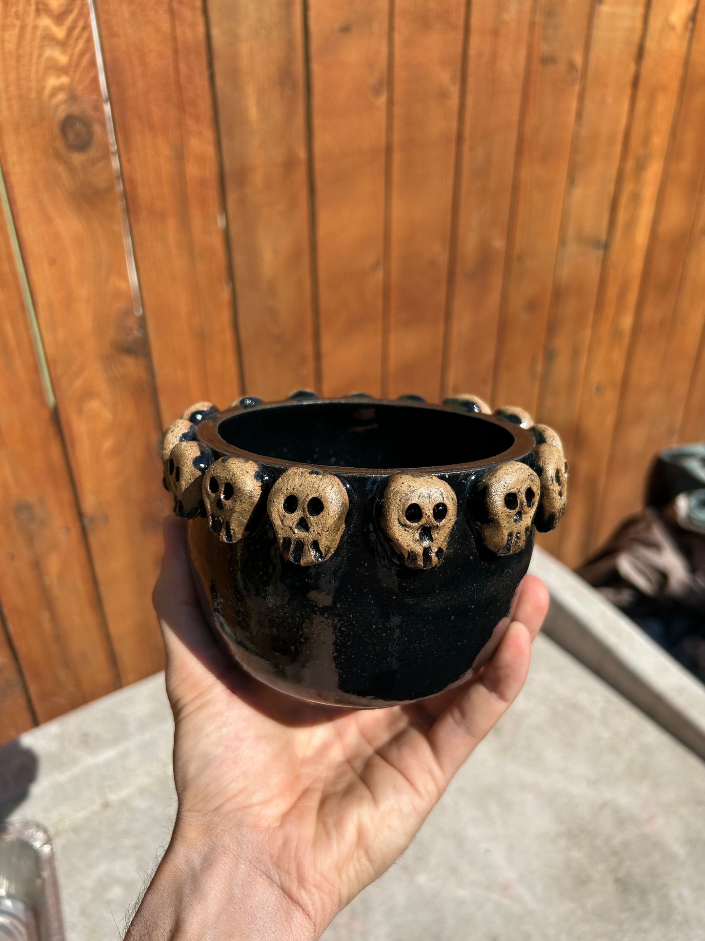 Obsidian Skull Planter