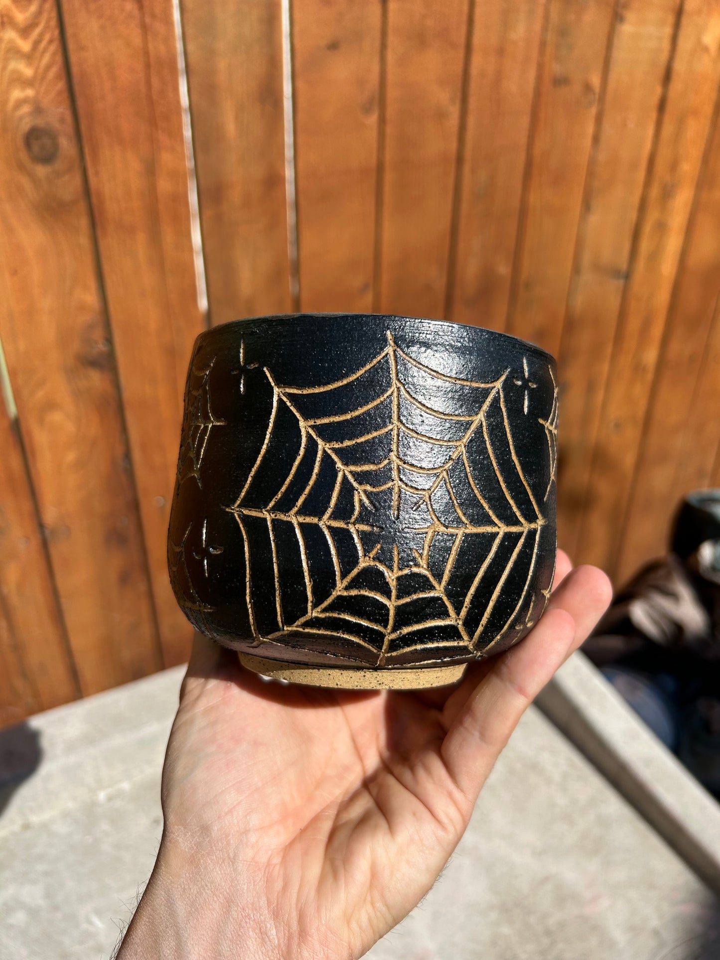 Spiderweb Planter