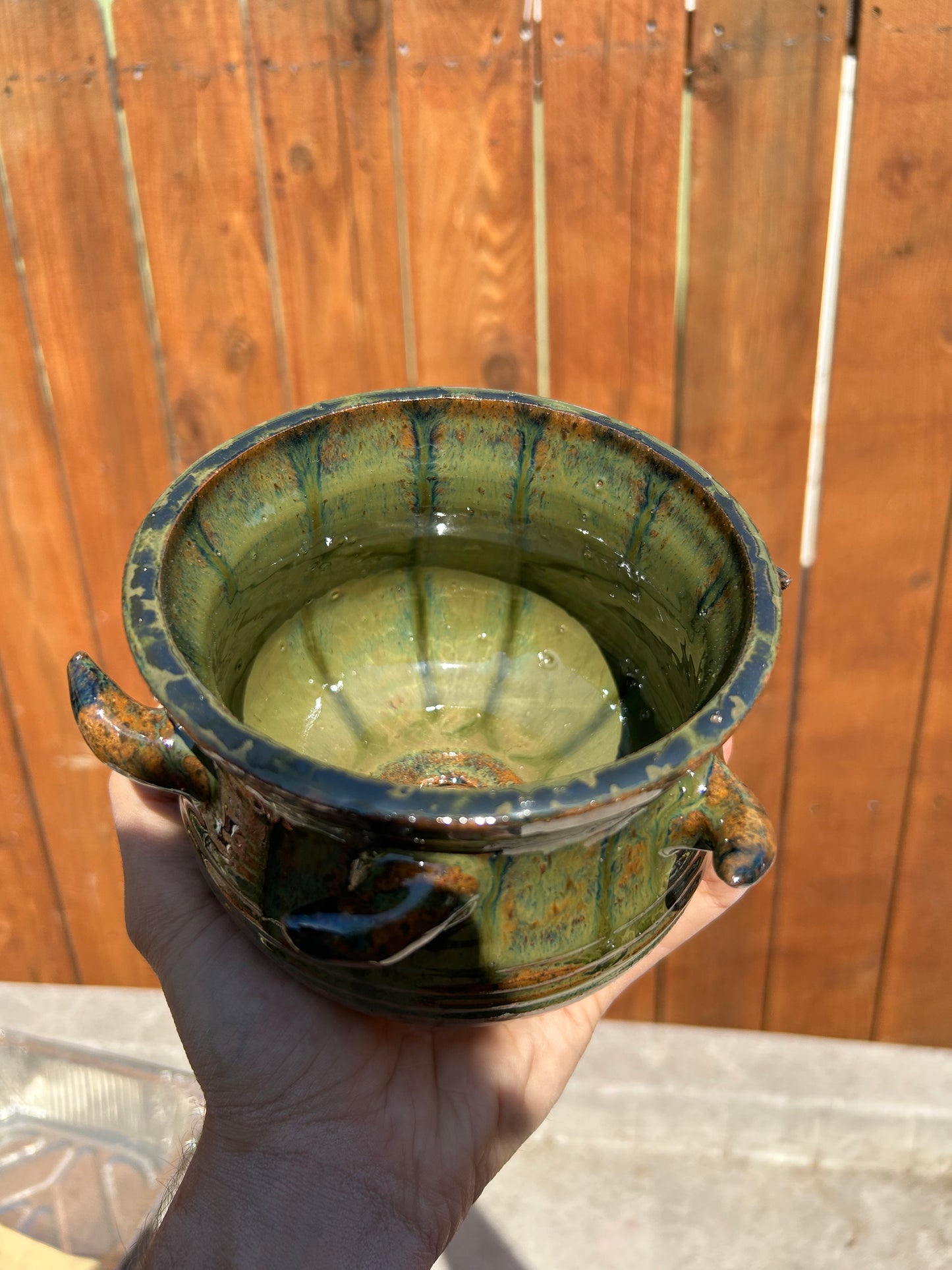 Twisted Thorn Planter