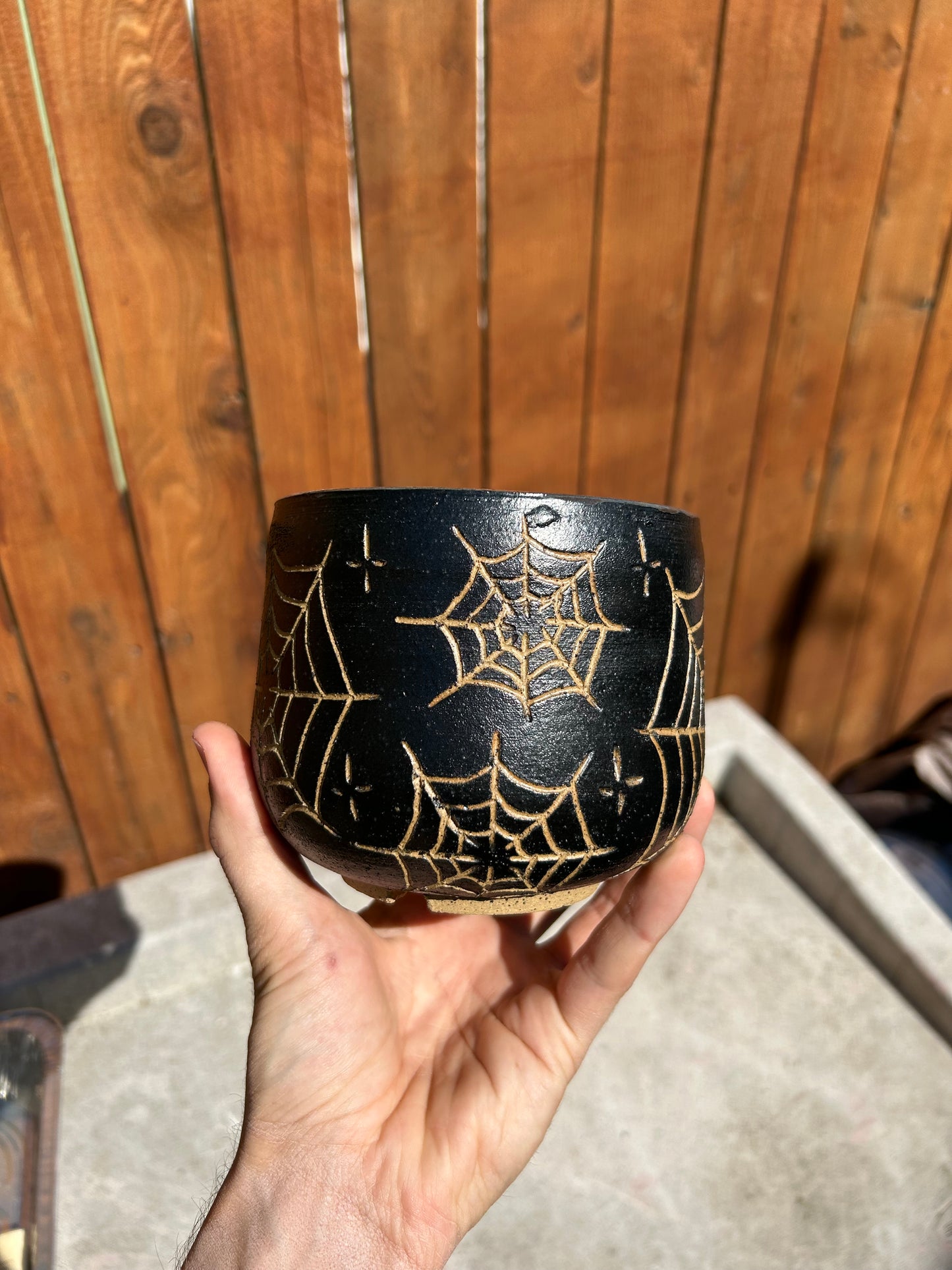 Spiderweb Planter