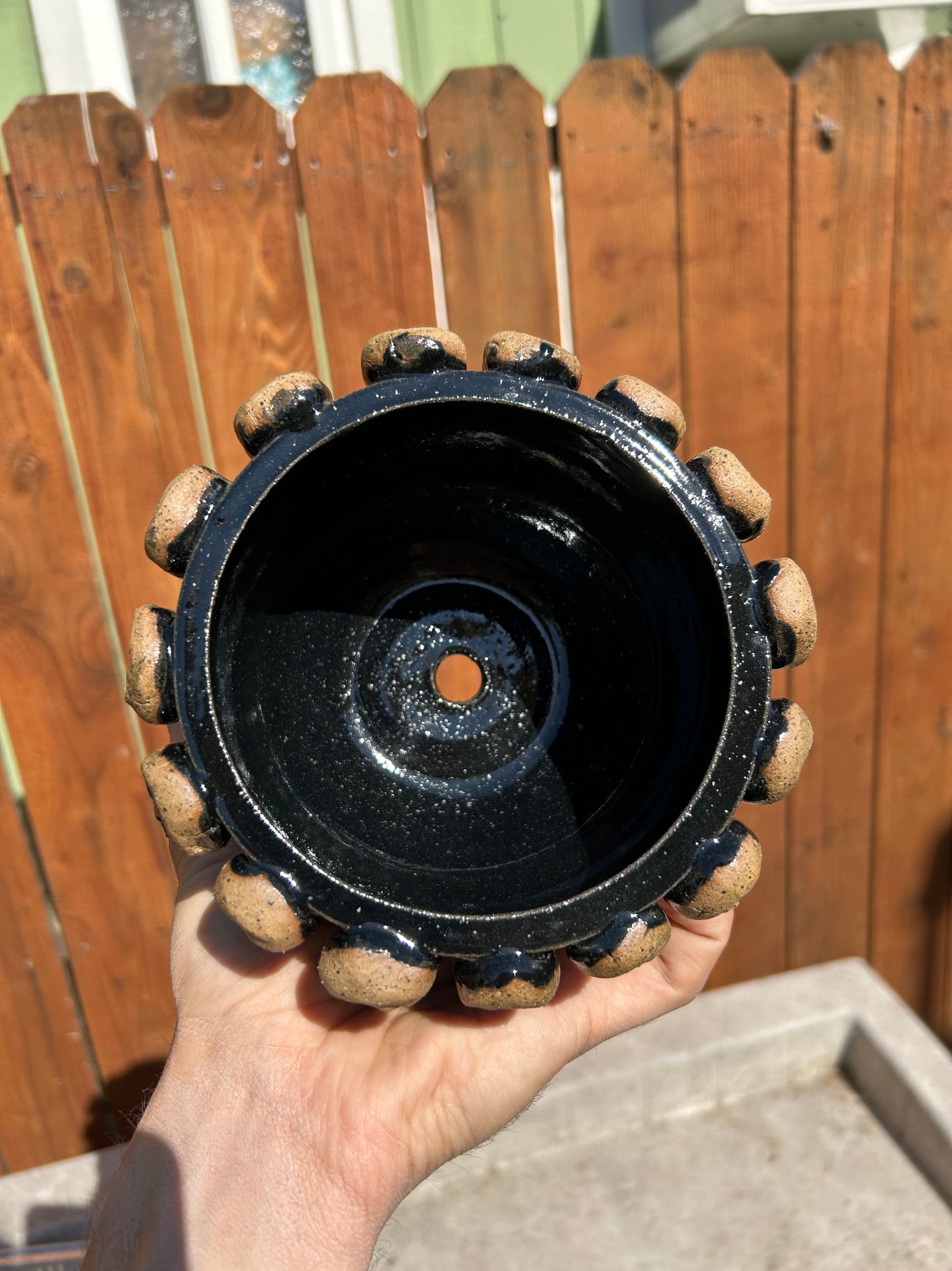 Obsidian Skull Planter