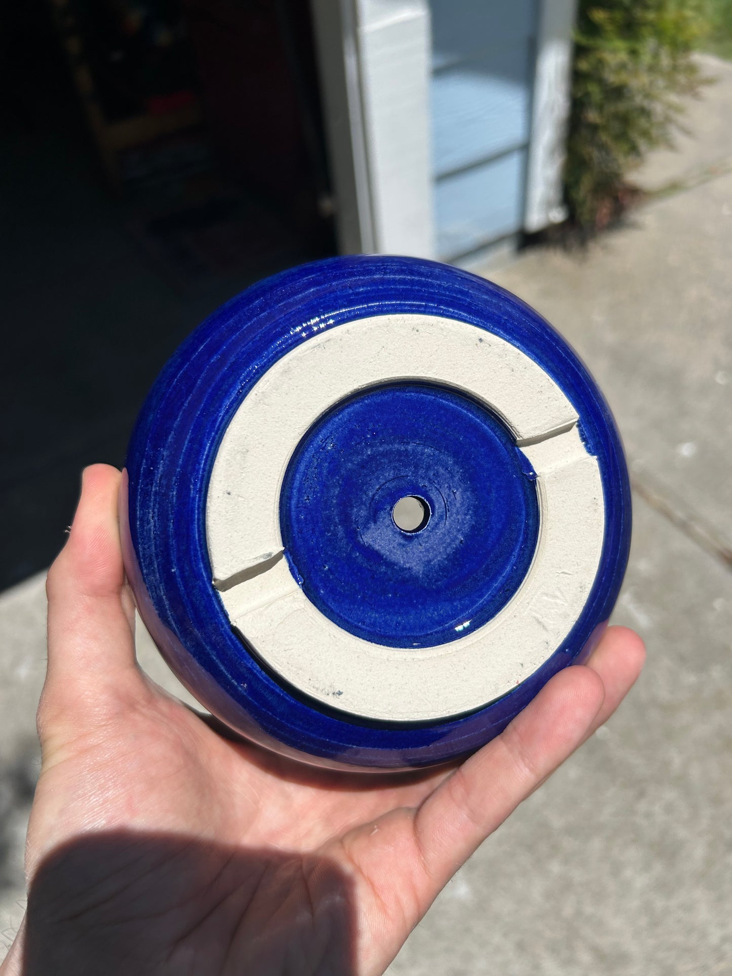 Spiky Sapphire Planter
