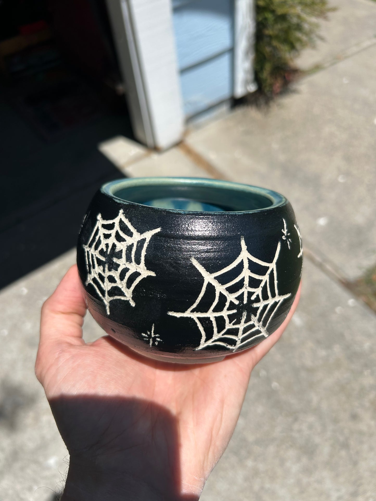 Spiderweb Planter