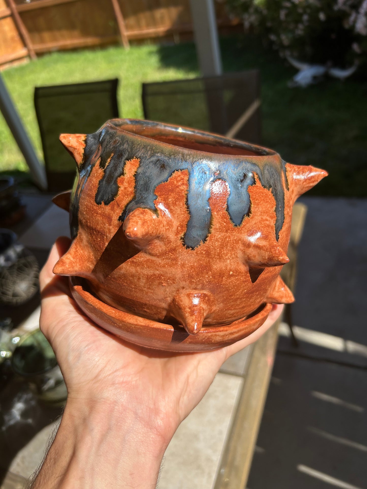 Spiky Planter