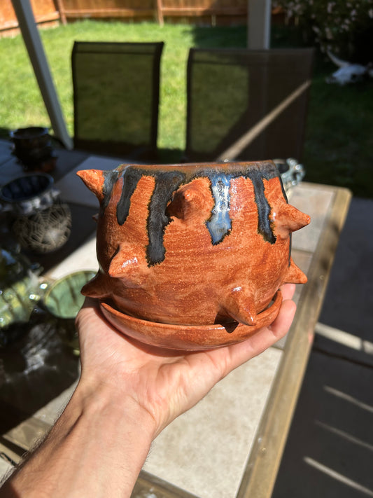 Spiky Planter
