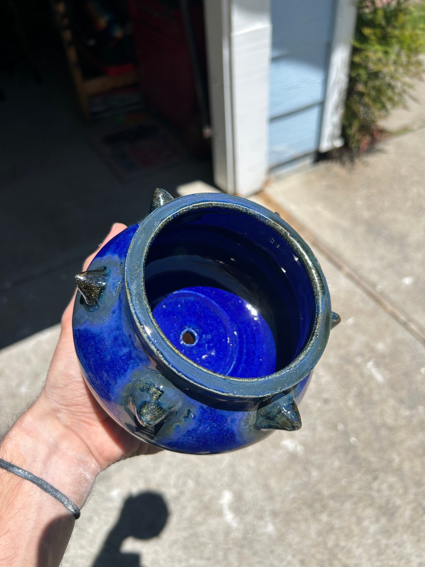 Spiky Sapphire Planter