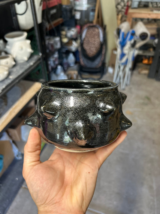 Cosmic Spiky Planter