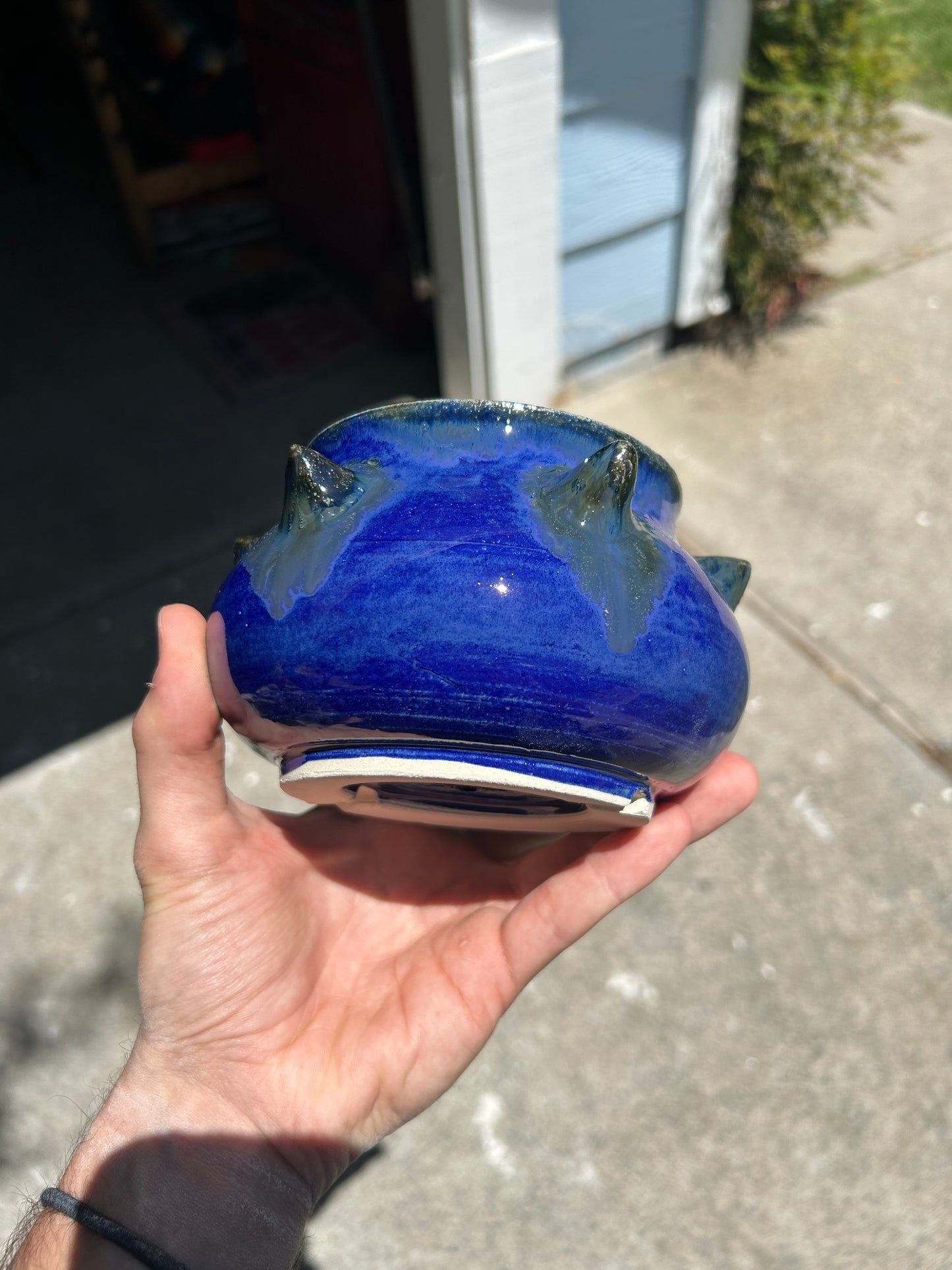 Spiky Sapphire Planter