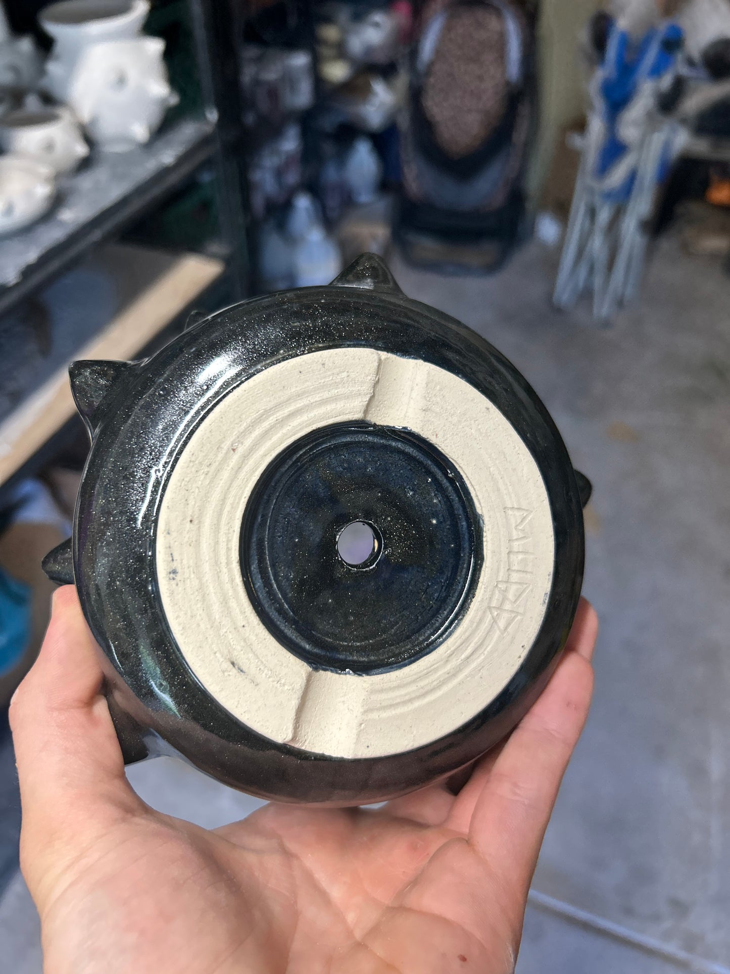 Cosmic Spiky Planter